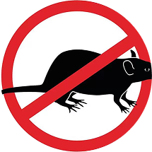 Société Dératisation