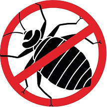 Traitement punaises de lit